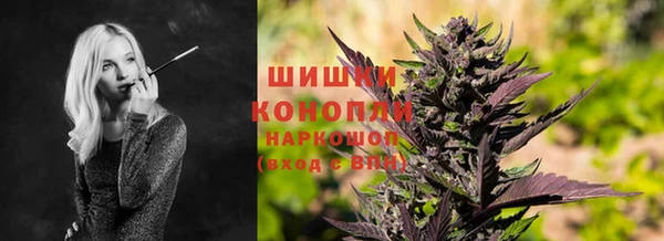 МДПВ Вяземский