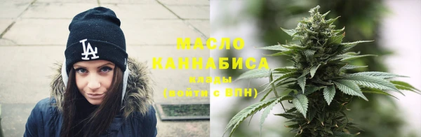 МДПВ Вяземский
