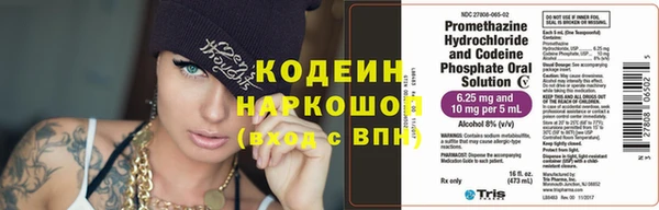 МДПВ Вяземский