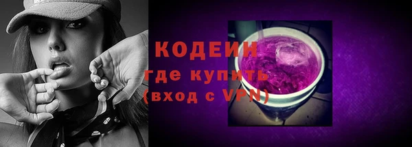МДПВ Вяземский
