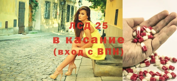 ПСИЛОЦИБИНОВЫЕ ГРИБЫ Вязьма