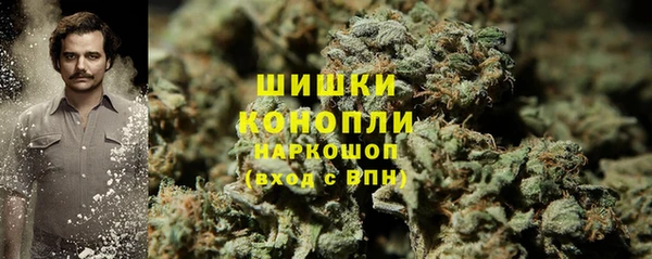 ПСИЛОЦИБИНОВЫЕ ГРИБЫ Вязьма