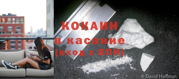 ПСИЛОЦИБИНОВЫЕ ГРИБЫ Вязьма