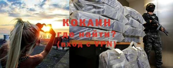 МДПВ Вяземский